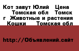 Кот завут Юлий › Цена ­ 0 - Томская обл., Томск г. Животные и растения » Кошки   . Томская обл.